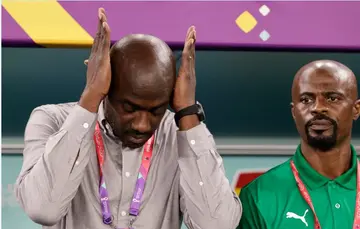 Otto Addo, Ghana, World Cup, resign