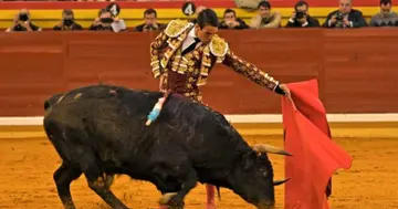 rules of bullfighting in spain