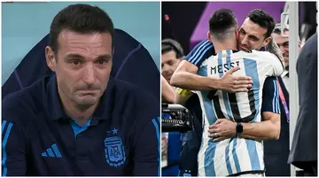 Lionel Scaloni, Argentina, coach, tears, World Cup, finals