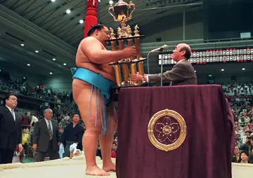 How big are sumo wrestlers?