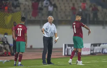 Vahid Halilhodžić, Morocco, World Cup, Ziyech