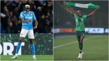 Victor Osimhen, Napoli, Serie A, Paolo Di Canio, Nigeria, AFCON 