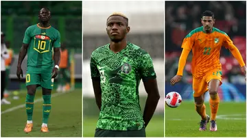 AFCON 2023, Nigeria, Cote d'Ivoire, Ghana, Senegal, Morocco, Algeria, Rabah Madjer