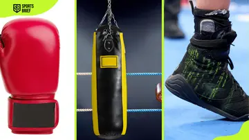  Boxing glove, heavy bag, and a shoe. 