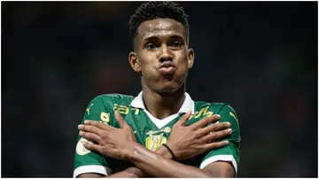 Estevao Willian, Palmeiras, Juventude, Allianz Parque, Brasiliero Serie A.