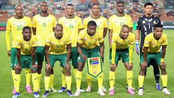 South Africa, Ronwen Williams, Mamelodi Sundowns, AFCON, semifinal
