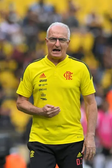 Flamengo coach Dorival Junior won the 2022 Copa Libertadores and has some support to be the new Brazil coach