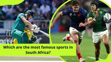Top 10 sports in South Africa
