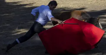 how are bulls treated before a bullfight