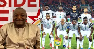Ghana, Black Stars, Hassan Ayariga, World Cup, Tournaments
