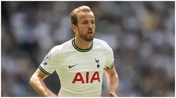 Harry Kane, Bayern Munich, Tottenham Hotspur, Transfer