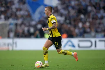 Dortmund' forward Marco Reus scored as his side beat Hoffenheim at home 1-0.