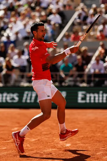 Novak Djokovic's world rankings