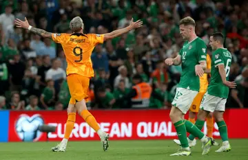 Wout Weghorst (L) sunk Ireland with a second-half winner