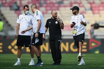 Algeria national football team coach