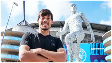 David Silva, Man City, Premier League, Etihad Stadium