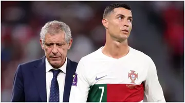 Luis Figo, Fernando Santos, Portugal, Cristiano Ronaldo, World Cup