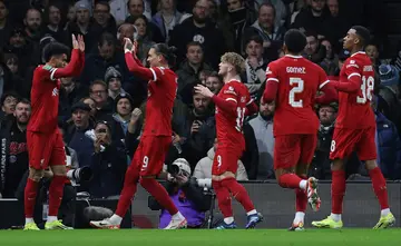 Liverpool celebrate Luis Diaz's goal against Fulham