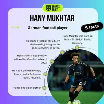 Facts about Hany Mukhtar
