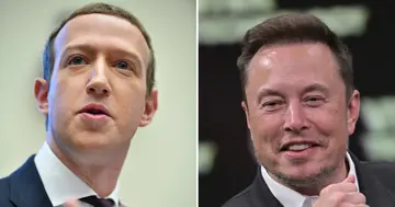 Elon Musk, UFC, Mark Zuckerberg