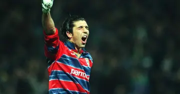 Buffon