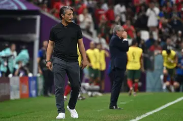 Switzerland coach Murat Yakin looks on after his team's 6-1 drubbing by Portugal at the World Cup on Tuesday