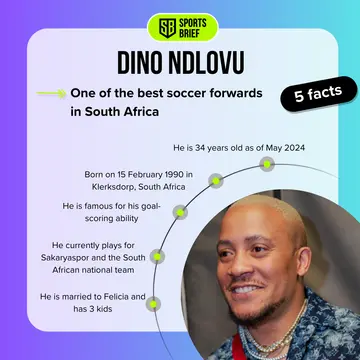 Top 5 facts about Dino Ndlovu