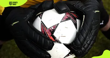 What kind of gloves do professional goalkeepers wear?