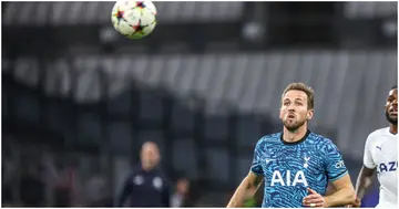 Harry Kane, Diogo Dalot, Gabriel Jesus, Aleksandr Mitrovic, William Saliba, World Cup