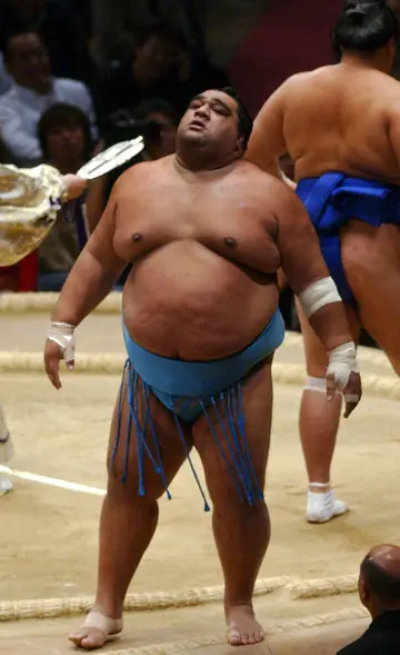 Musashimaru is one of the best non-Japanese sumo wrestlers ever to grace the Sport