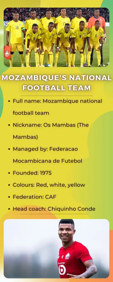 Mozambique's national football team