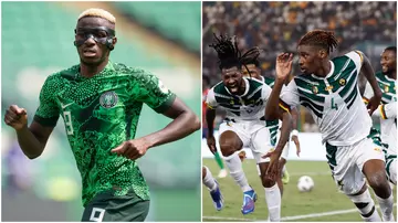 Victor Osimhen, Cameroon, Nigeria, Rigobert Song, AFCOn 2023