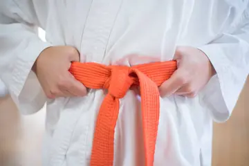 Brazilian Jiu Jitsu belt ranking system