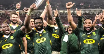 Springboks, Rugby, Siya Kolisi, Wales