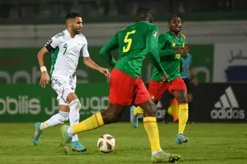 Algeria star Riyad Mahrez (L) attacks during a 2022 World Cup play-off against Cameroon in Blida