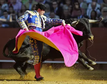 Best bullfighter ever