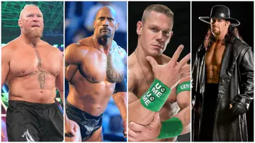 Brock Lesnar, The Rock, John Cena, The Undertaker, Stone Cold, Ric Flair, Triple H, greatest wrestlers of all time.