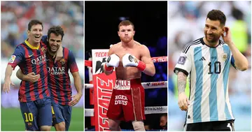 Cesc Fabregas, Lionel Messi, Canelo Alvarez, Argentina, Mexico, 2022 World Cup