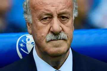 Former Spain coach Vicente Del Bosque