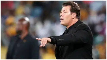 Luc Eymael has commented on the arrival of Nasreddine Nabi as Kaizer Chiefs new coach. Photo: @FARPostZA.