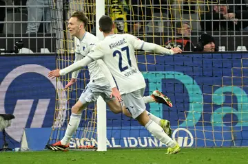 Two of a kind: Hoffenheim's Maximilian Beier (left) celebrates scoring the winner