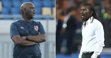 al-ahly, south africa, egypt, senegal, pitso mosimane, aliou cisse, african cup of nations, kamou malo, local is lekker, caf champions league, mamelodi sundowns, cameroon, egypt, burkina faso