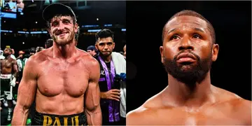 Mayweather reveals why he could not knock Logan out is exciting exhibition bout
