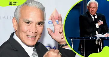 What happened to Ricky Steamboat?