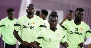 Senegal players, World Cup
