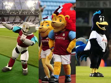 Do Premier League teams have mascots?