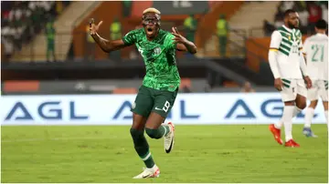 Victor Osimhen, Nigeria, Cameroon, Rigobert Song, AFCON 2023, Jose Peseiro, Ademola Lookman