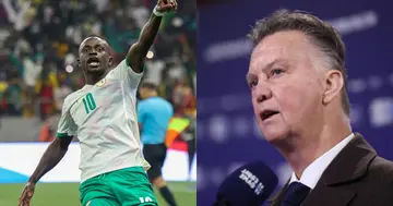 Louis Van Gaal, Sadio Mane, Holland, Senegal, World Cup