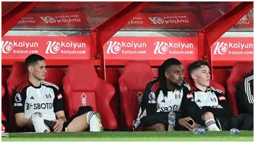 Alex Iwobi, Sasa Lukic, and Harry Wilson react after being substituted during the Premier League match between Nottingham Forest and Fulham FC. Photo: Michael Regan.