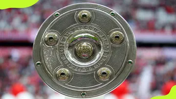 Bundesliga Meisterschale trophy